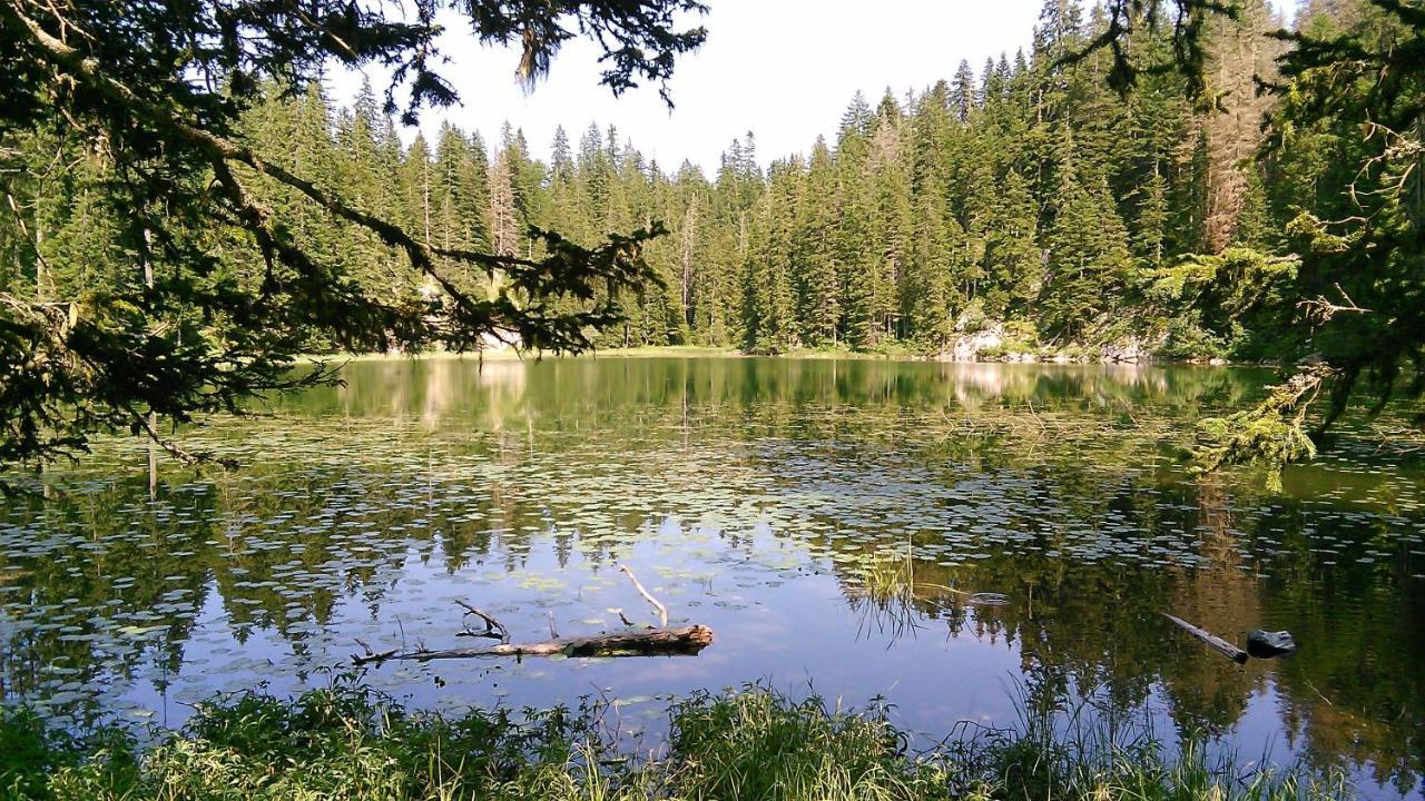 Cottage Bosaca Žabljak Kültér fotó