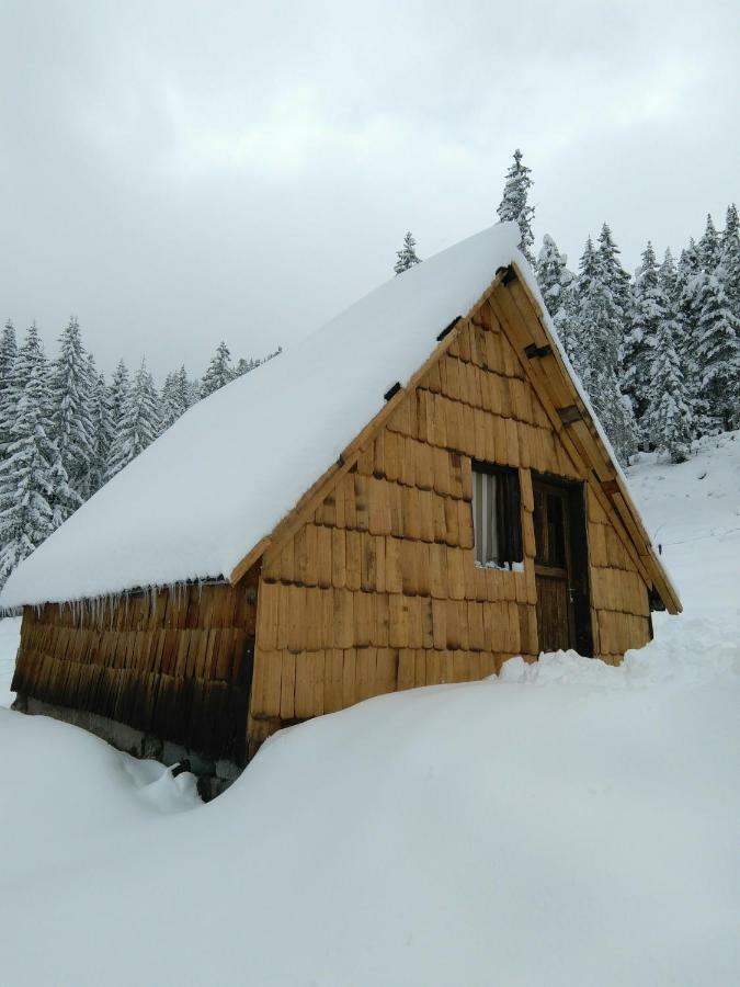 Cottage Bosaca Žabljak Kültér fotó