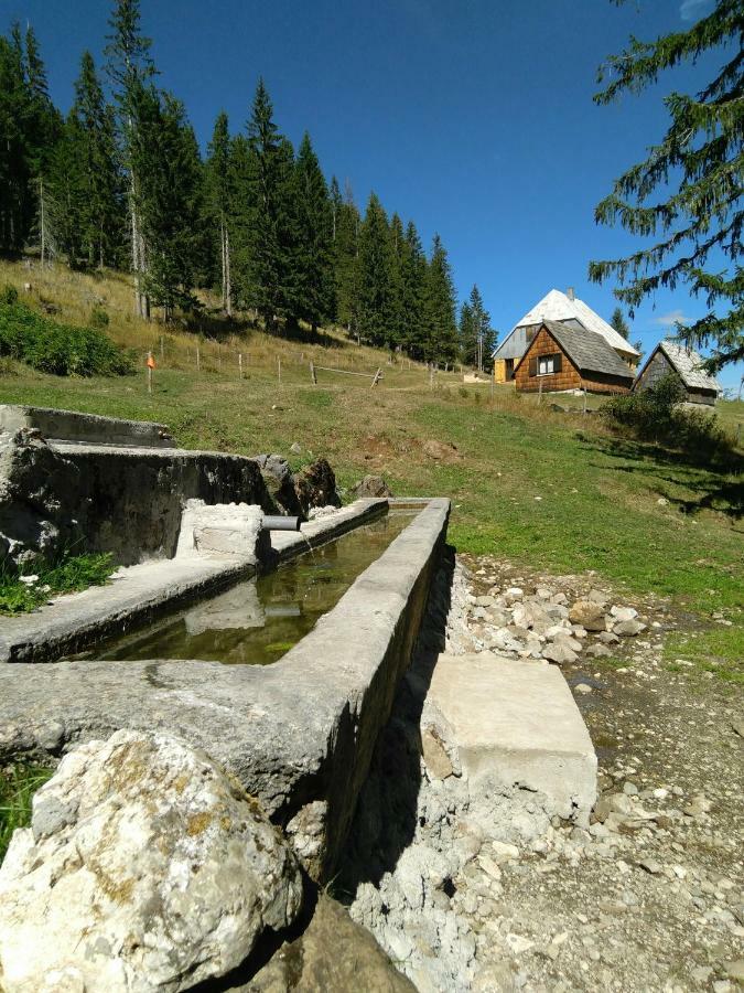 Cottage Bosaca Žabljak Kültér fotó