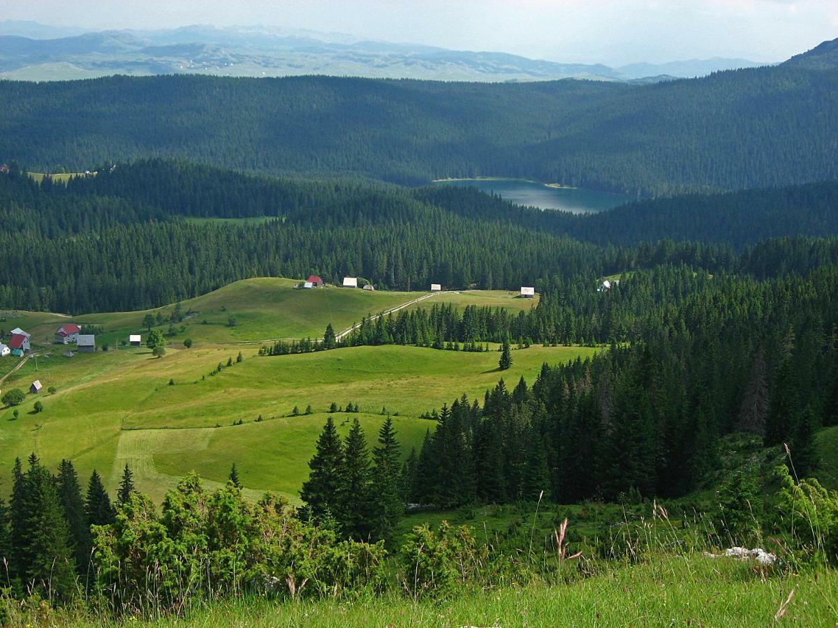 Cottage Bosaca Žabljak Kültér fotó